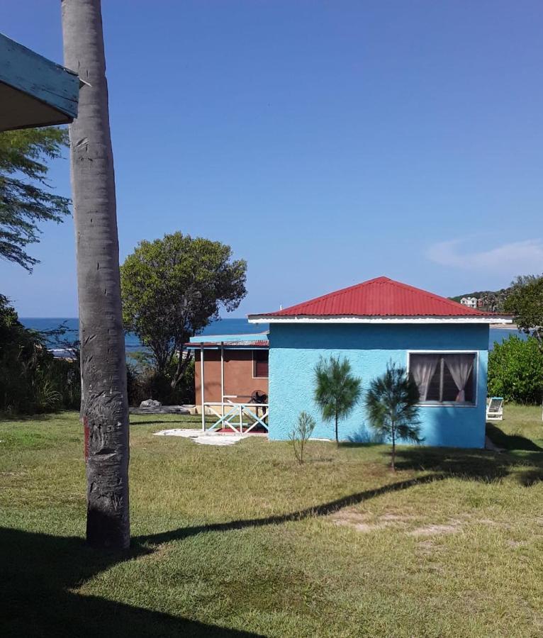 Waikiki Guest House Treasure Beach Ngoại thất bức ảnh