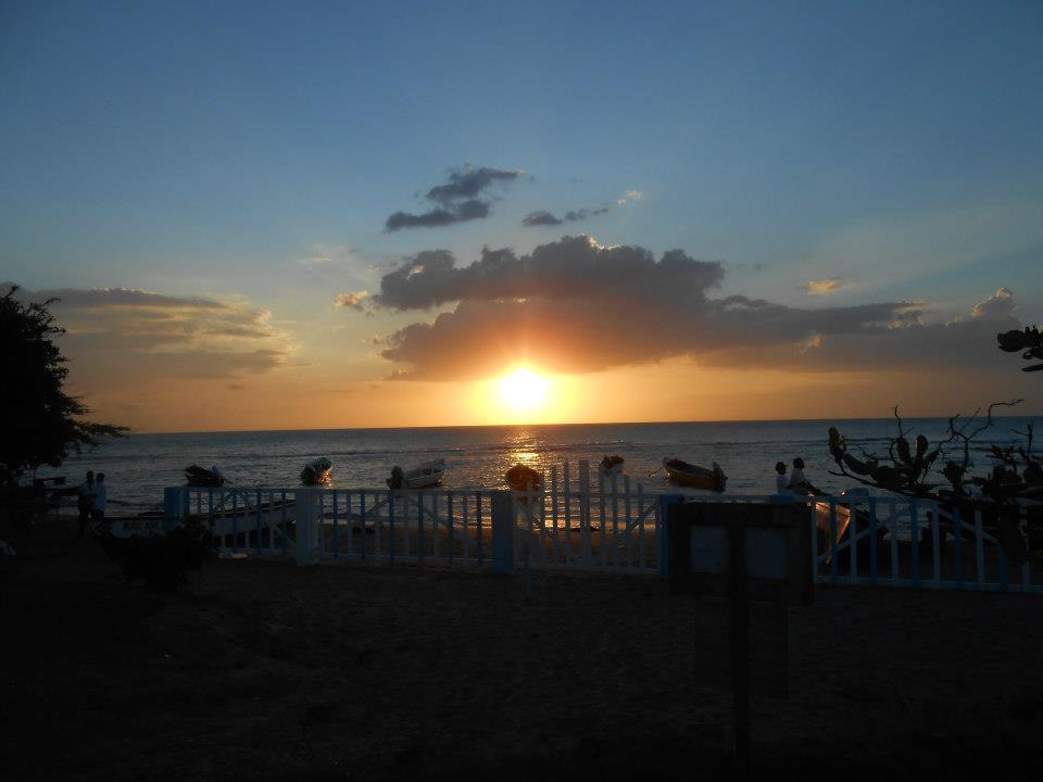 Waikiki Guest House Treasure Beach Ngoại thất bức ảnh