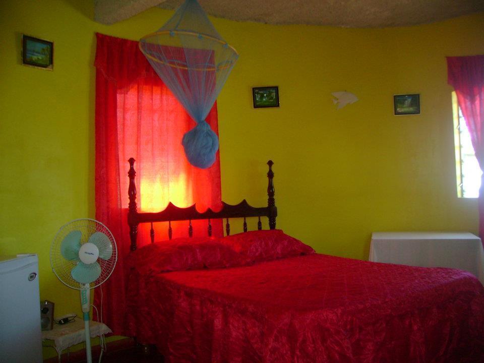 Waikiki Guest House Treasure Beach Phòng bức ảnh